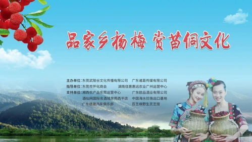 品家鄉楊梅 賞苗侗文化